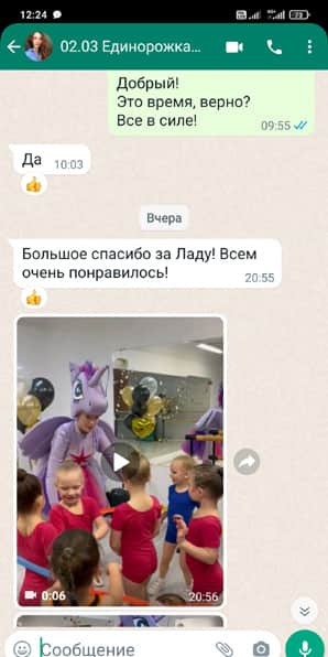 Отзыв на аниматора Пони Единорожка на детском празднике