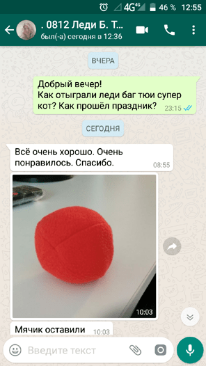 Леди Баг и Супер Кот в школу