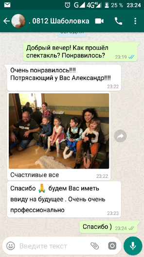 Кукольный спектакль на день рожджения