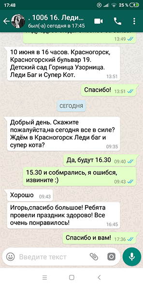 Аниматоры Леди Баг и Супер Кот в детский сад