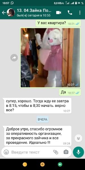Отзыв поздравление с днем рождения аниматором в костюме Зайки