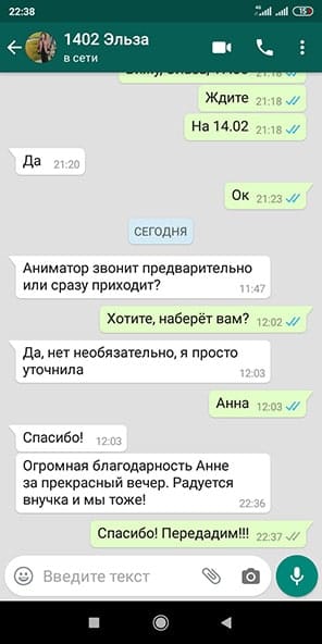 Отзыв аниматор Эльза Холодное сердце