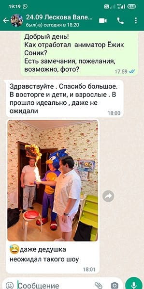 Отзыв на аниматора Ежик Соник с химическим шоу на день рождения мальчика