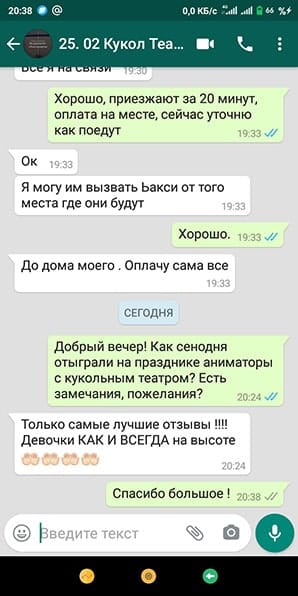 Отзыв Аниматоры с кукольным театром для малышей