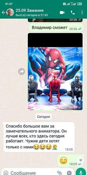 Отзыв на аниматора Спайдермена на день рождения мальчика