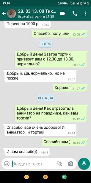 Отзыв аниматор Тик Ток вечеринка 13 лет